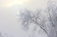 Hoarfrost and Haze